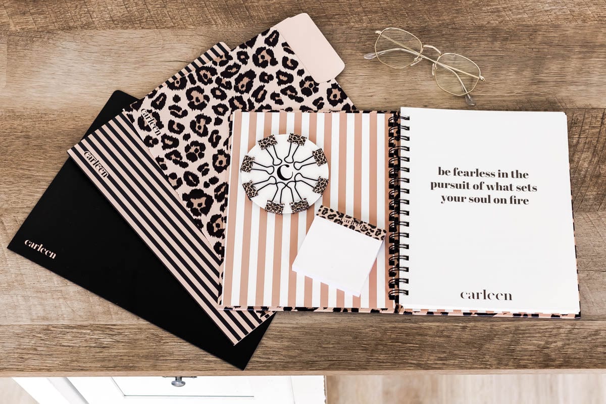 2-Pack Sticky Note Pads - Leopard Print - Image 5